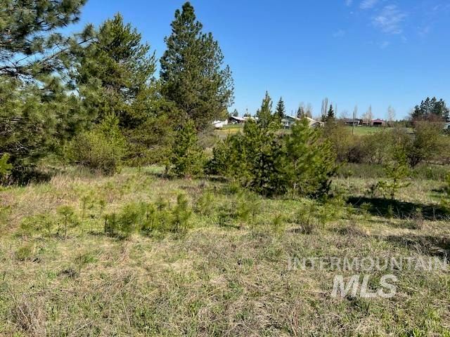 TBD Pleasant Acres Dr., Weippe, ID 83553