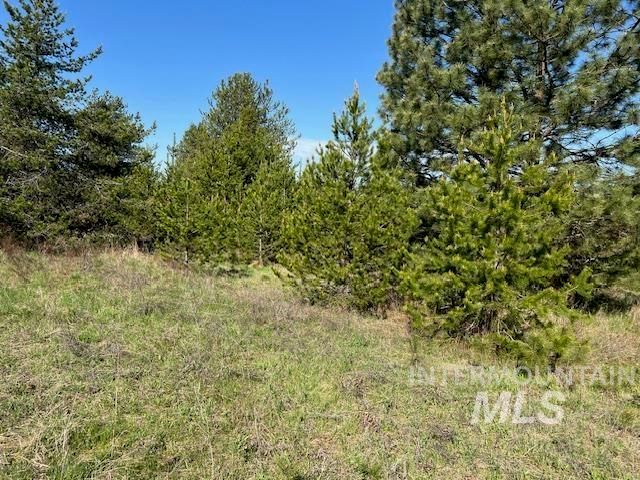 TBD Pleasant Acres Dr., Weippe, ID 83553