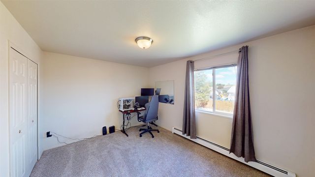 336 Catkin Street, Fruita, CO 81521