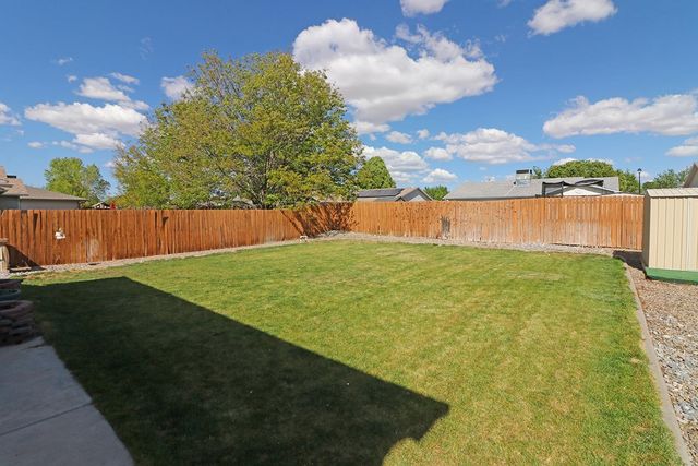 336 Catkin Street, Fruita, CO 81521