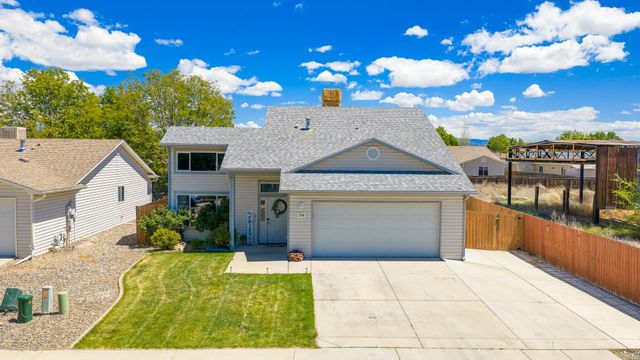 336 Catkin Street, Fruita, CO 81521