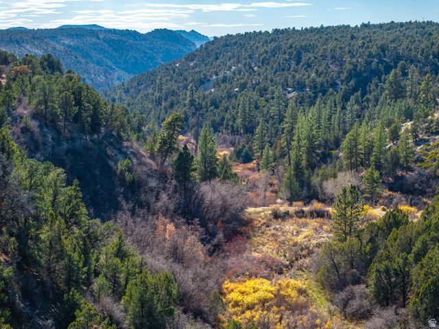 6 S NORTH FORK RD, Orderville, UT 84758