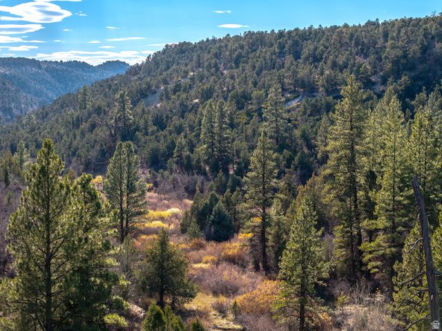 6 S NORTH FORK RD, Orderville, UT 84758