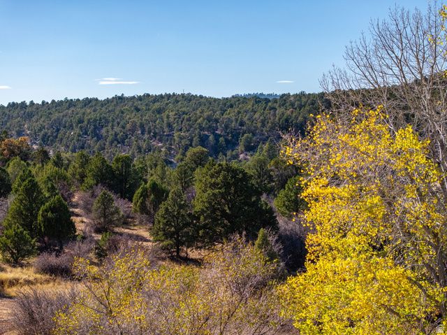 6 S NORTH FORK RD, Orderville, UT 84758