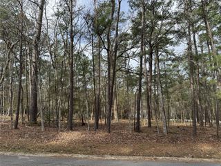 91 S Fairway Loop, Coldspring, TX 77331