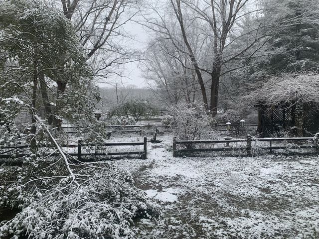 1006 Remington Pl, Manchester, TN 37355