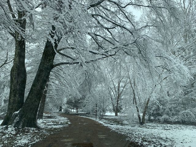 1006 Remington Pl, Manchester, TN 37355