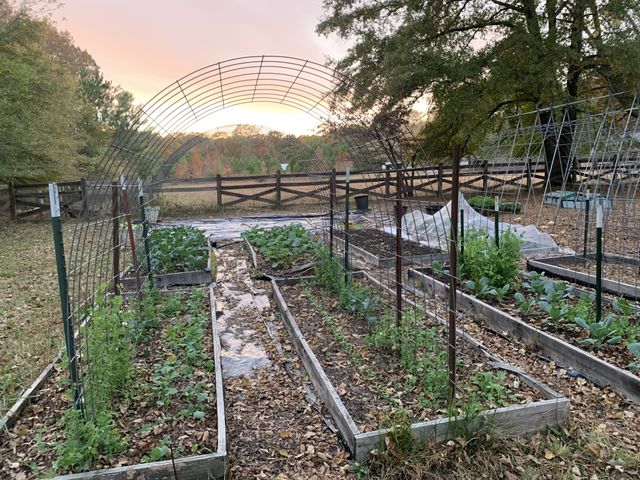 1006 Remington Pl, Manchester, TN 37355