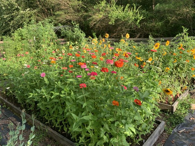 1006 Remington Pl, Manchester, TN 37355