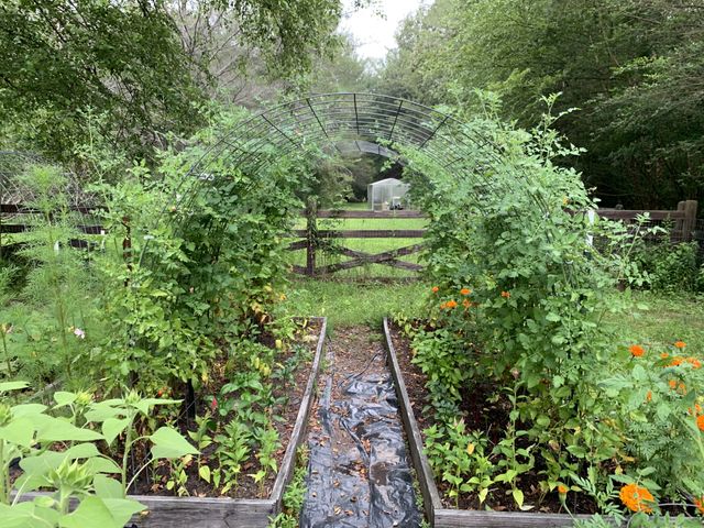 1006 Remington Pl, Manchester, TN 37355