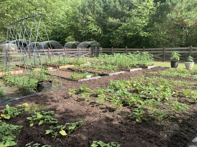 1006 Remington Pl, Manchester, TN 37355