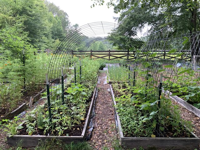 1006 Remington Pl, Manchester, TN 37355