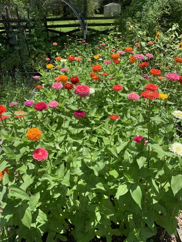 1006 Remington Pl, Manchester, TN 37355