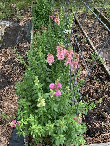 1006 Remington Pl, Manchester, TN 37355