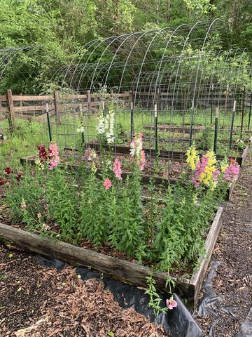 1006 Remington Pl, Manchester, TN 37355