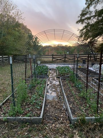 1006 Remington Pl, Manchester, TN 37355