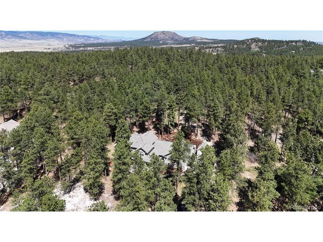 1767 Cinnamon Rd, Larkspur, CO 80118