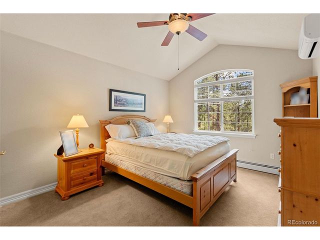 1767 Cinnamon Rd, Larkspur, CO 80118