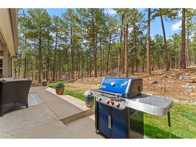 1767 Cinnamon Rd, Larkspur, CO 80118