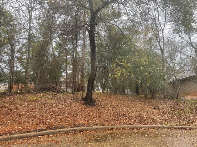 3503 Woodland Lane, Montgomery, TX 77356