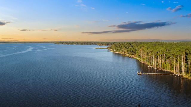 Lot 57 Woodbriar Drive, Santa Rosa Beach, FL 32459