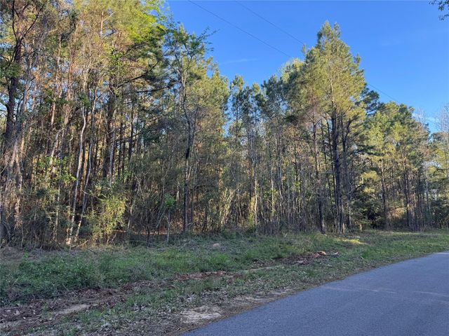 000 Rose Hill Road, Coldspring, TX 77331