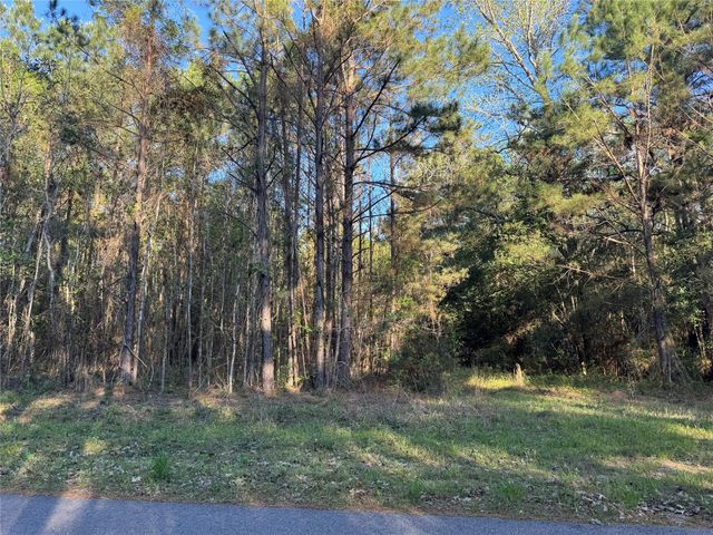 000 Rose Hill Road, Coldspring, TX 77331
