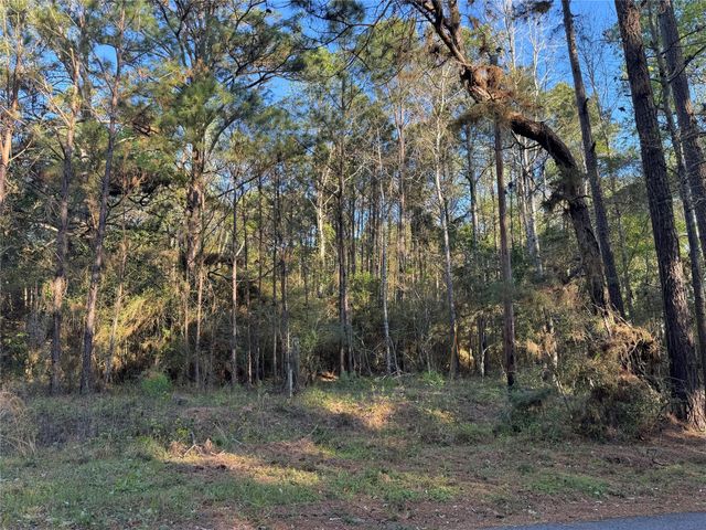 000 Rose Hill Road, Coldspring, TX 77331