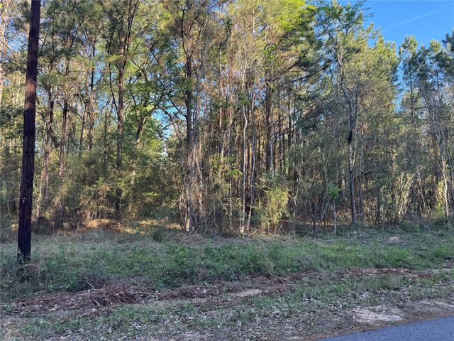 000 Rose Hill Road, Coldspring, TX 77331
