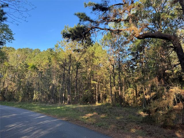 000 Rose Hill Road, Coldspring, TX 77331