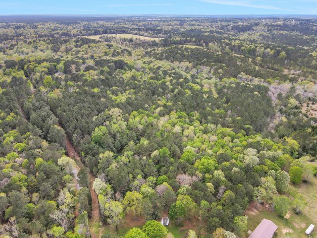 000 Rose Hill Road, Coldspring, TX 77331