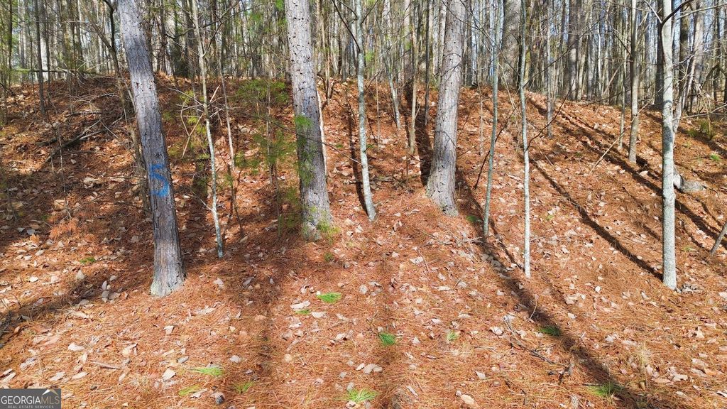 765 Plum Lane LOT 765, Clarkesville, GA 30523 — photo 2