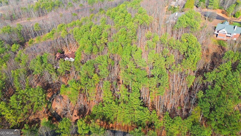765 Plum Lane LOT 765, Clarkesville, GA 30523 — photo 5