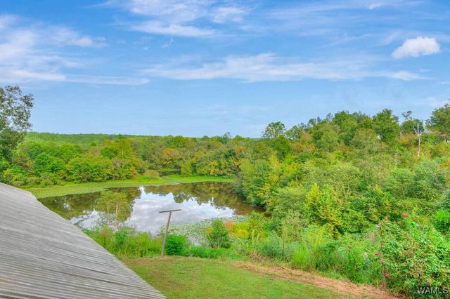 17385 Spencers Cove Rd, Northport, AL 35475