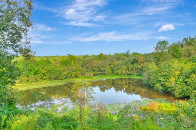 17385 Spencers Cove Rd, Northport, AL 35475