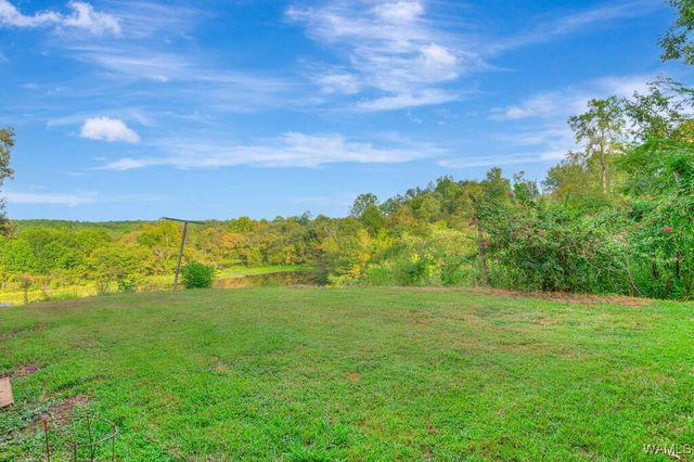 17385 Spencers Cove Rd, Northport, AL 35475