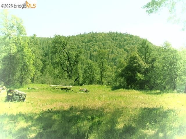 17242 Philadelphia Rd., Twain Harte, CA 95383