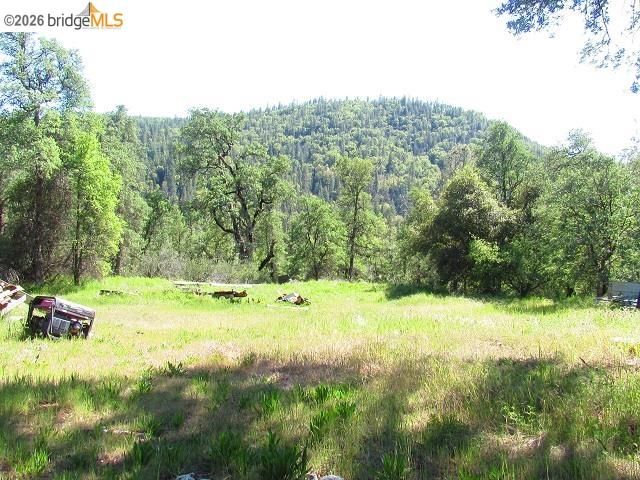 17242 Philadelphia Rd., Twain Harte, CA 95383