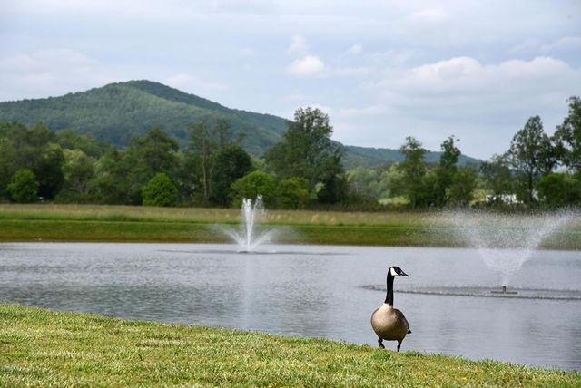 122 Mountain Creek Road, Blairsville, GA 30512