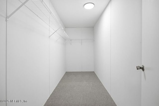 2025 BLUEBERRY BAY Court, Middleburg, FL 32068