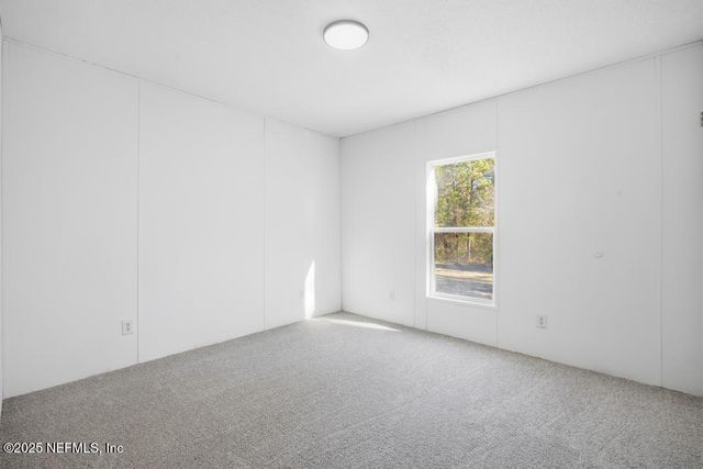 2025 BLUEBERRY BAY Court, Middleburg, FL 32068