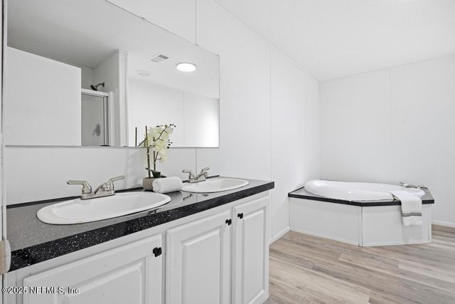 2025 BLUEBERRY BAY Court, Middleburg, FL 32068