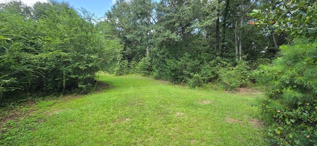 4739 Wallace Buie Rd, Webb, AL 36376
