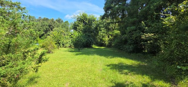 4739 Wallace Buie Rd, Webb, AL 36376