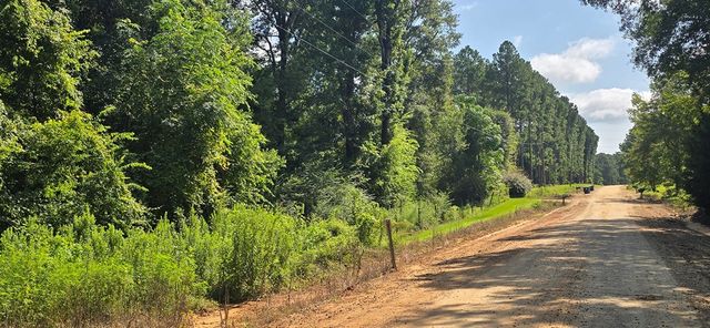 4739 Wallace Buie Rd, Webb, AL 36376