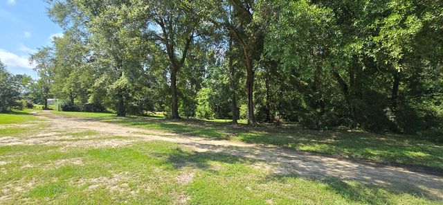 4739 Wallace Buie Rd, Webb, AL 36376