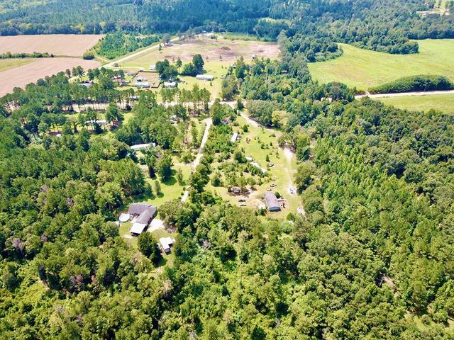 4739 Wallace Buie Rd, Webb, AL 36376