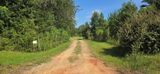 4739 Wallace Buie Rd, Webb, AL 36376
