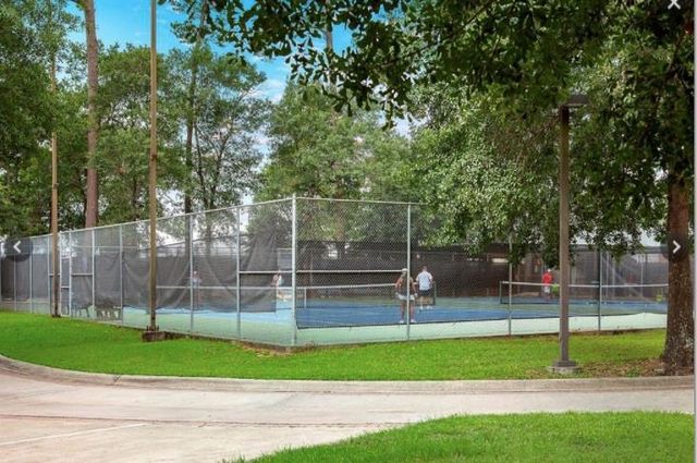 24306 Winchelsea Lane, Spring, TX 77389