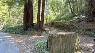 15645 Stetson Road, Los Gatos, CA 95033